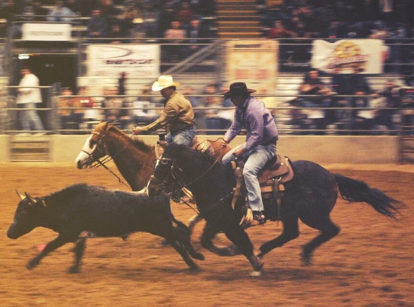 Featured image for “Dust off Your Boots and Join the Fun at the Lively Sandoval County Fair”